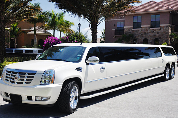 Jacksonville 20 Passenger Limo